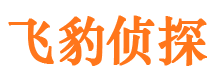 谯城私人侦探